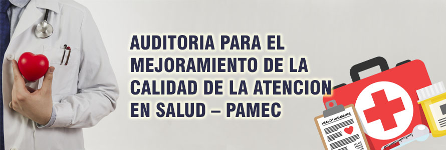 pamec1